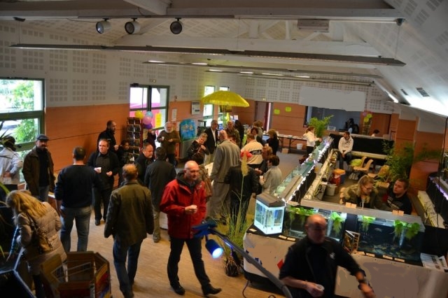 Bourse 2