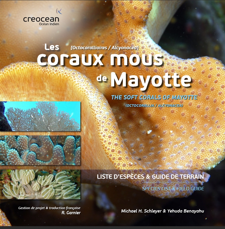 Coraux Mayotte