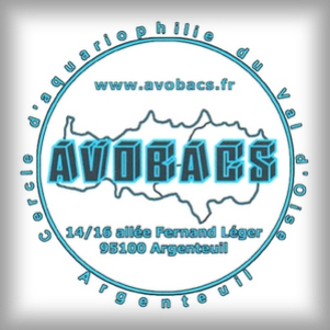 Avobacs