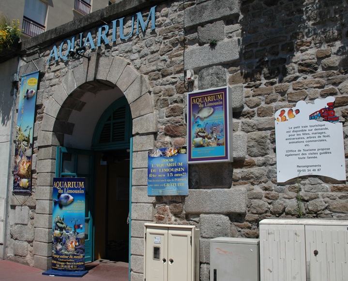 AquaLimousin