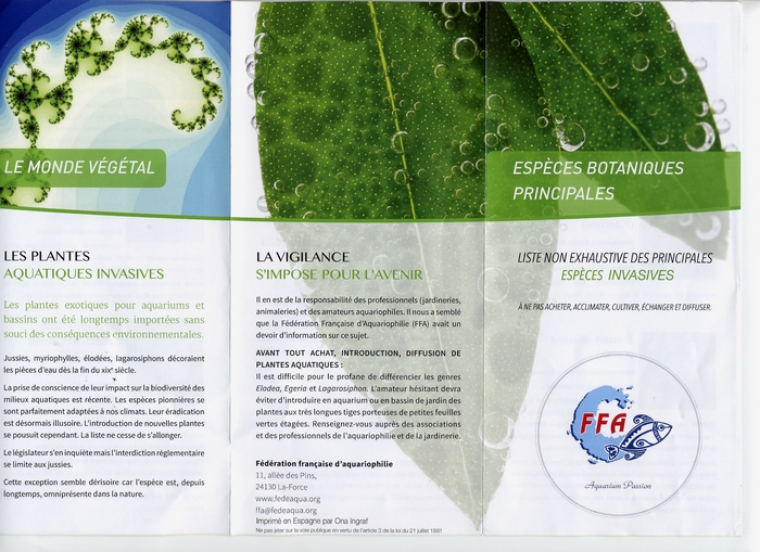 Plantes invasives 1