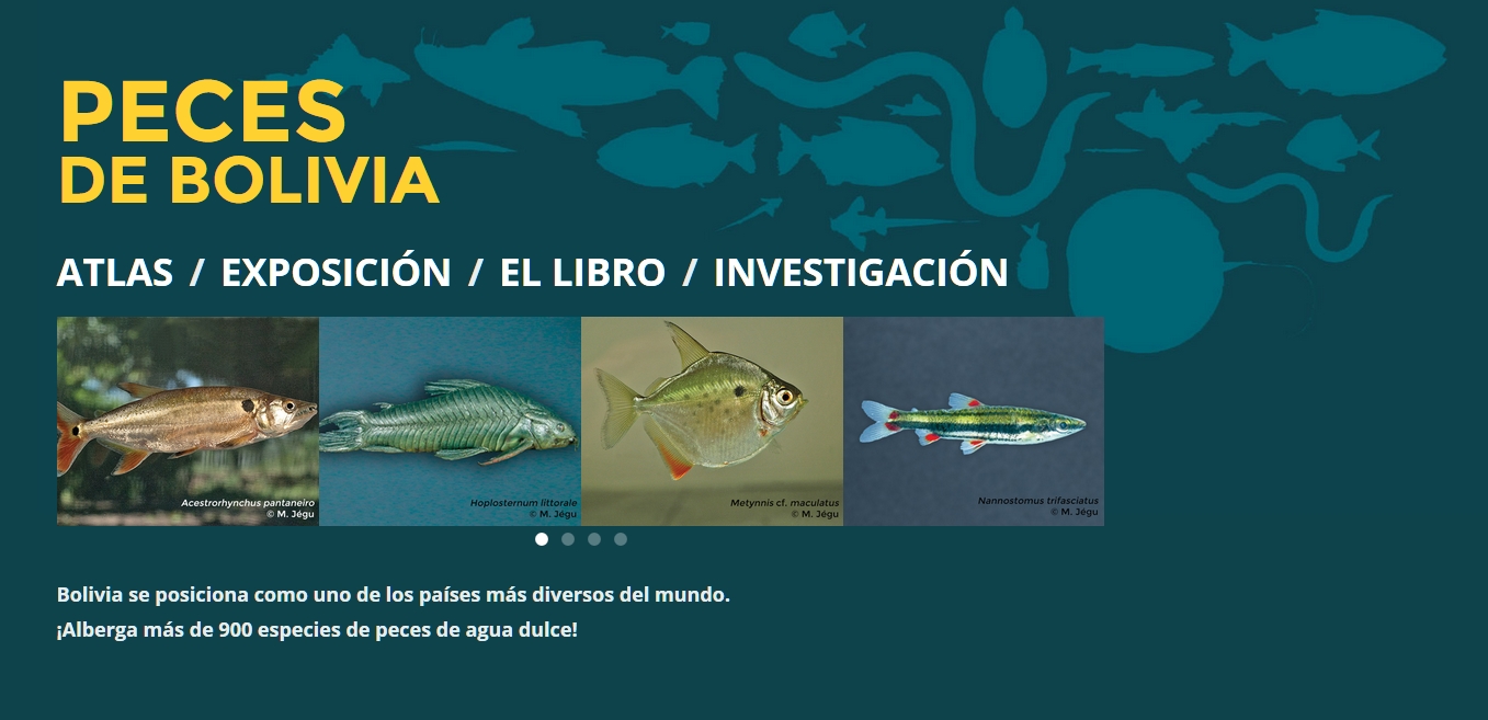 poissons boliviens
