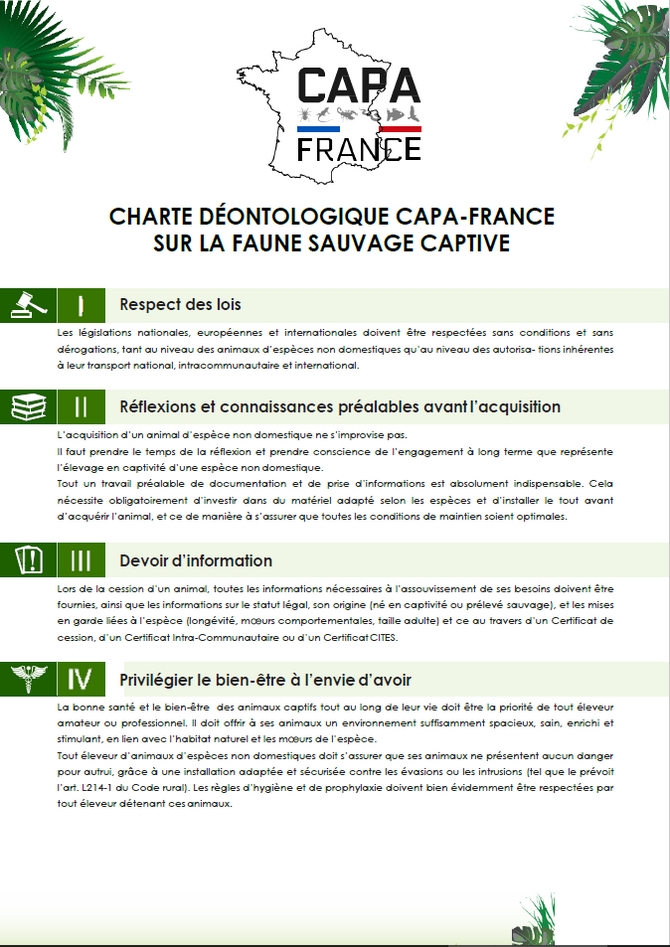 Charte CAPA 1