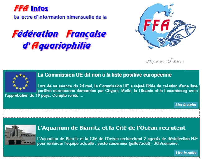 FFA Infos
