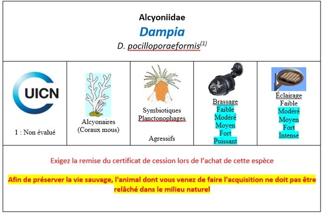 Dampia