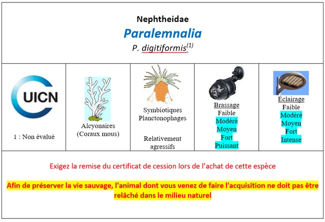 Paralemnalia