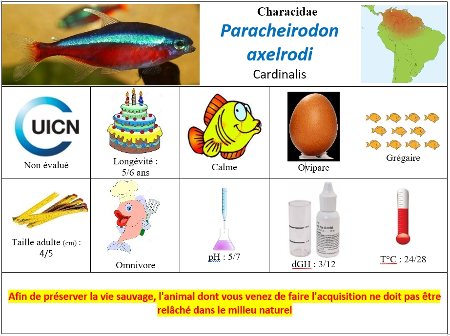 P.axelrodi2