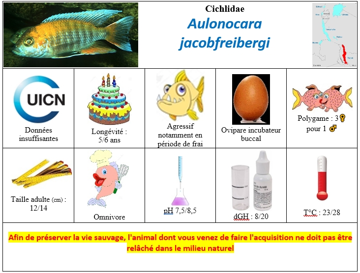 A.jacobfreibergi