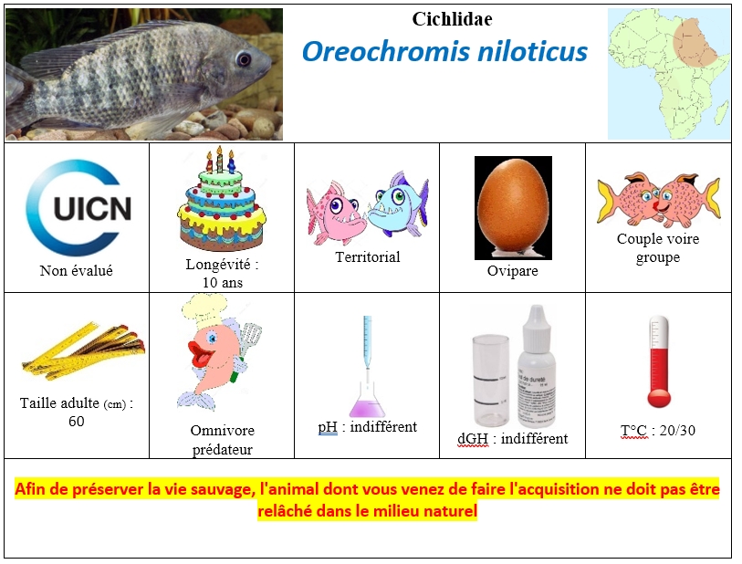 O.niloticus