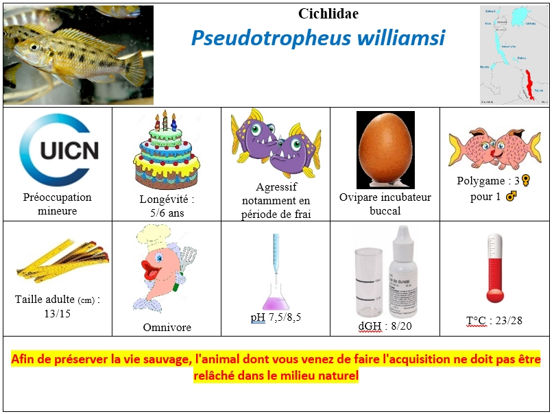 P.williamsi
