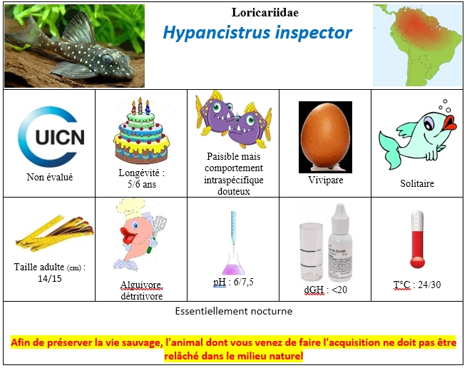 H.inspector