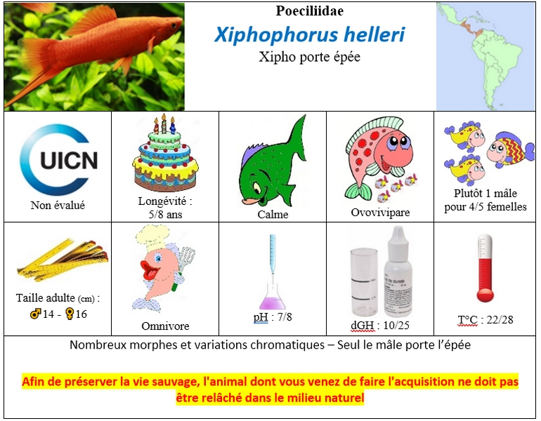 X.helleri