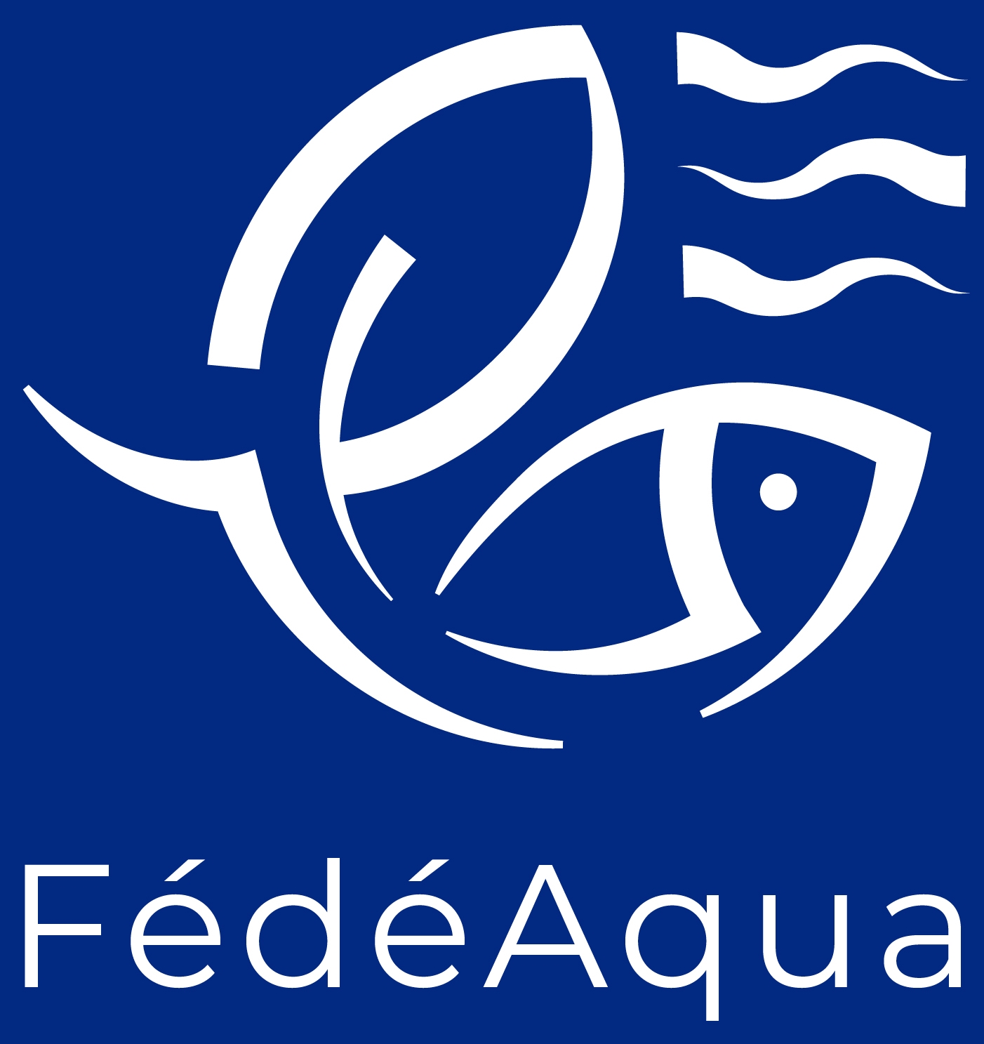 Logo recadré
