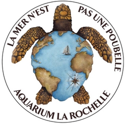 La Rochelle2