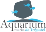 Tregastel2