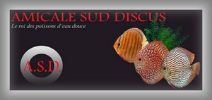 Amicale Sud Discus