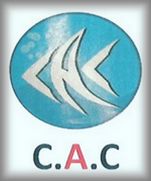Calais
