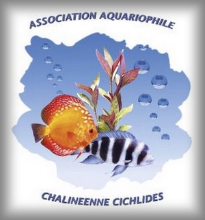 Chaligny
