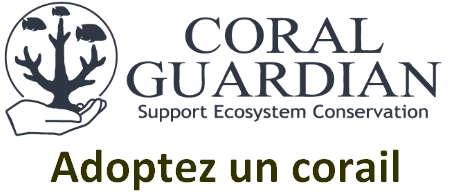 CoralGuardian2
