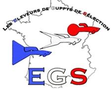 EGS