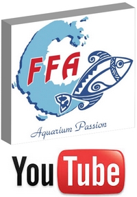 FFA Youtube
