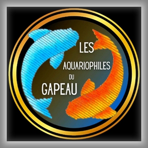 Gapeau