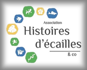 HistoireDecailles