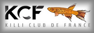 KCF