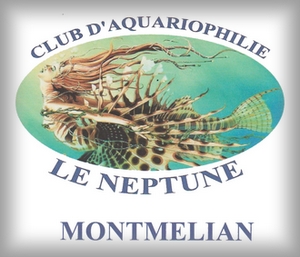 Montmelian