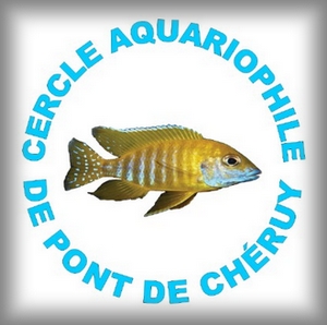 Pont de Cheruy