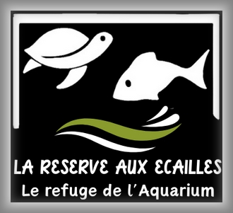 ReserveEcailles