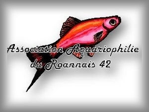 Roanne