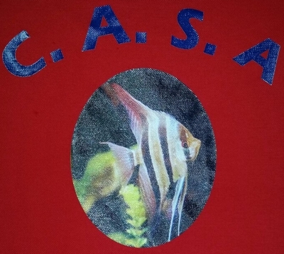 Ste adresse