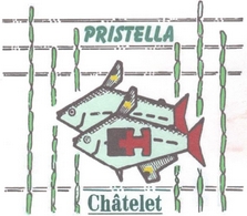 pristella