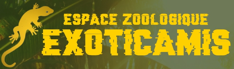 Exoticamis