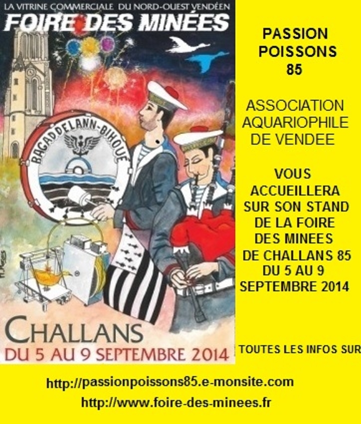 foire chalans