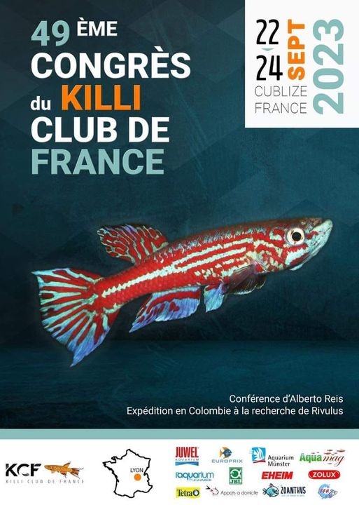 Congrès KCF