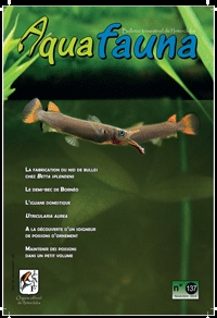Aquafauna 137