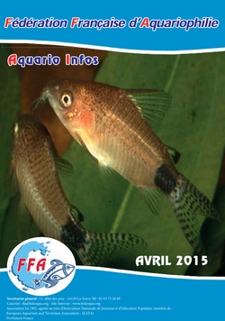 AI 0415 couverture