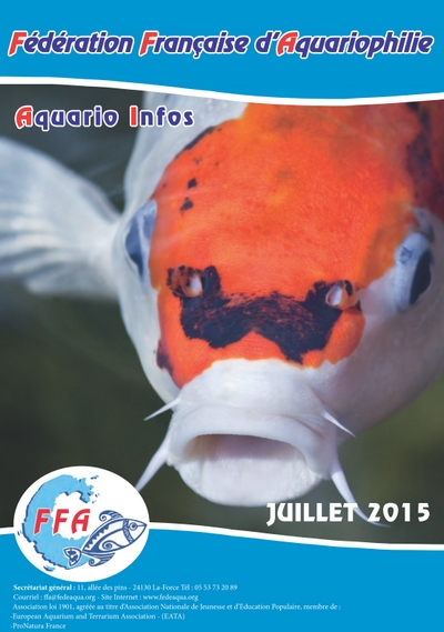 AI 0715 couverture