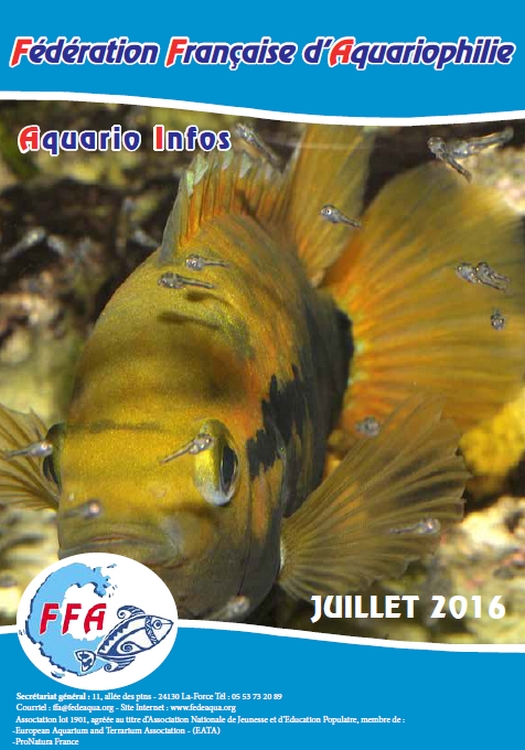 Couv AI juillet