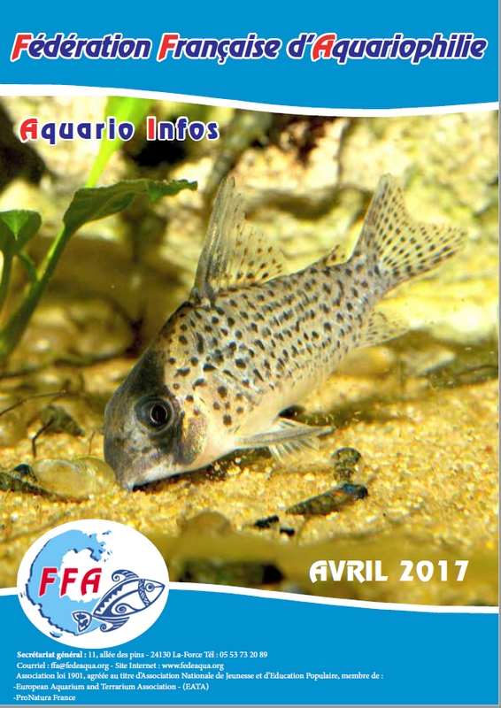 AI avril 17