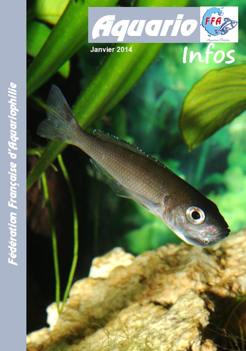 aquario infos 0114