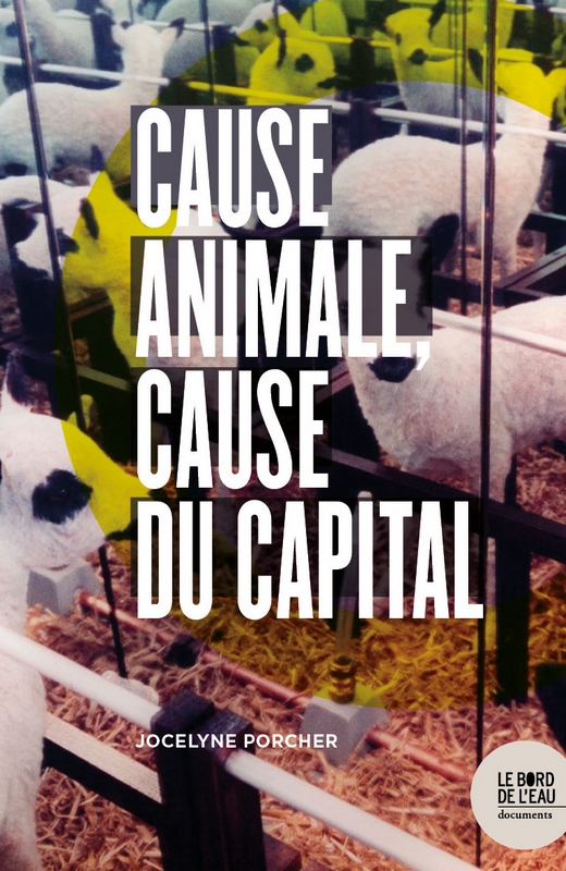 CauseAnimale