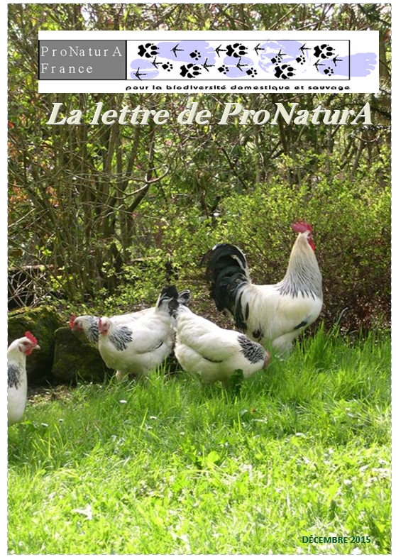 Lettre 2015 3