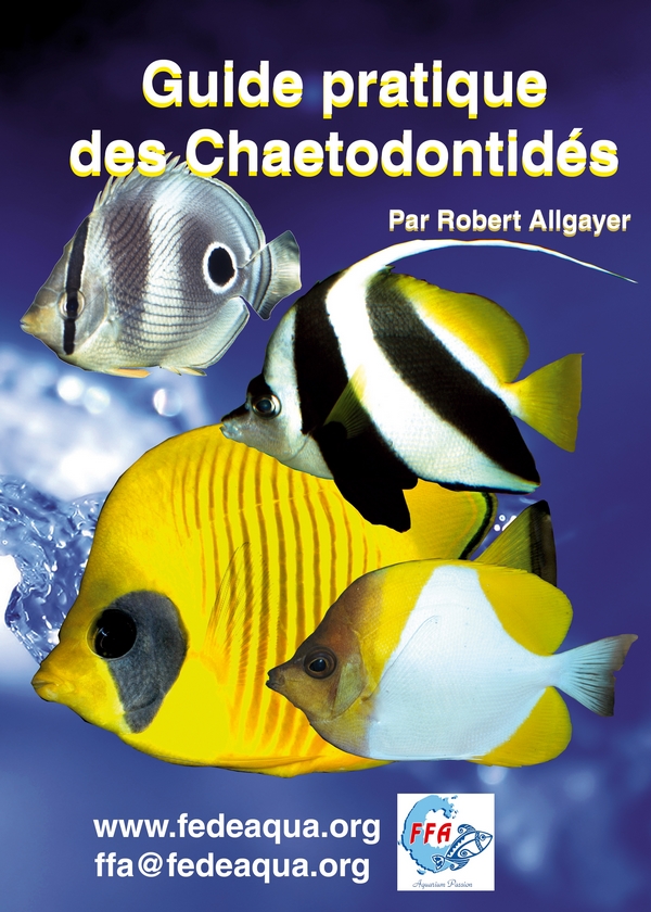 Chaetodontidae
