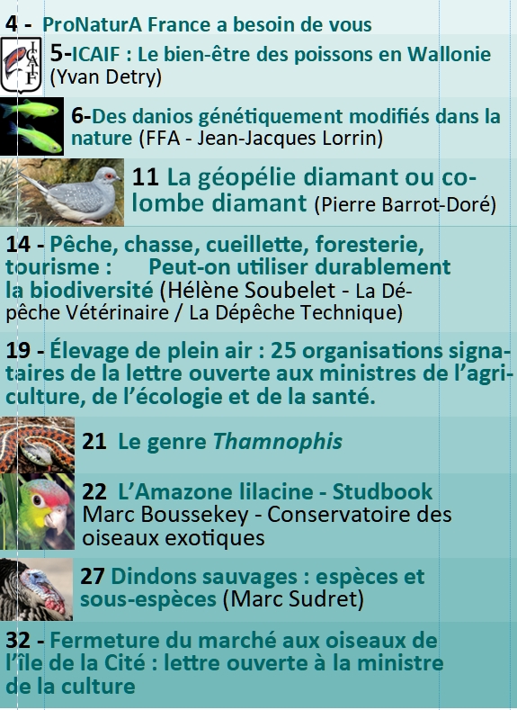 Lettre2022 3Som