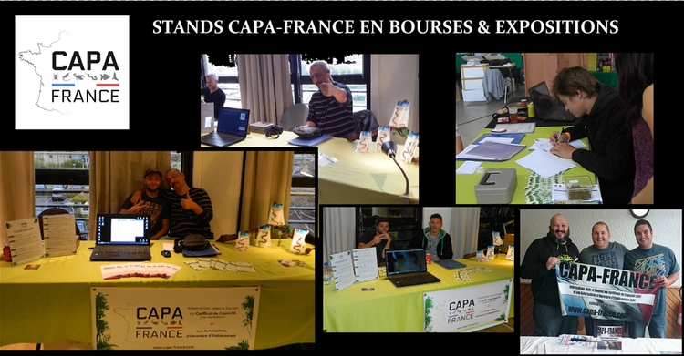 Capa