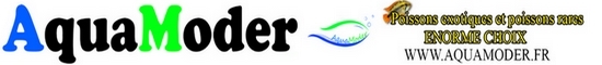 AquaModer