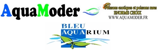 AquaModer BleuAquarium